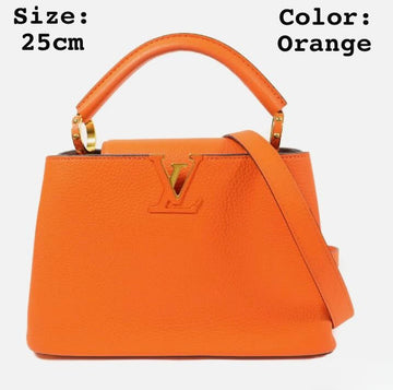 Louis Vuitton Capucines Leather Bags